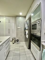 Cairnhill Crest (D9), Condominium #535243631